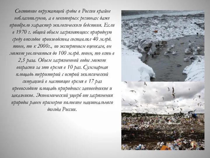 Состояние окружающей среды в России крайне неблагополучно, а в некоторых регионах даже