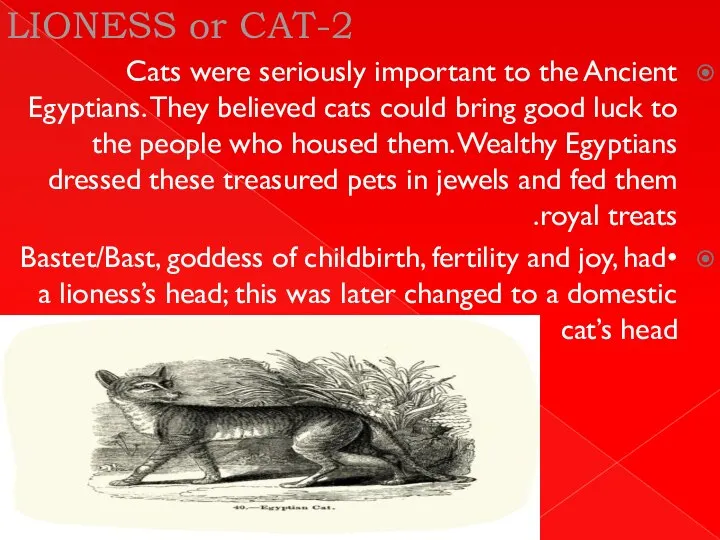 2-LIONESS or CAT Cats were seriously important to the Ancient Egyptians. They