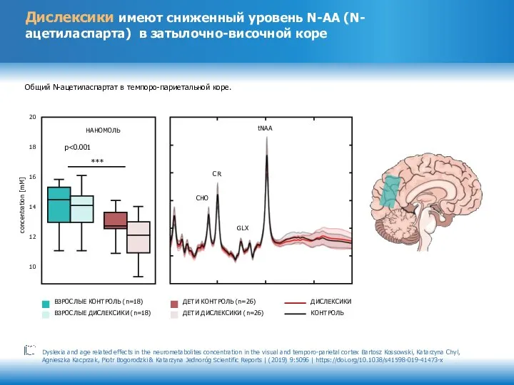 Общий N-ацетиласпартат в темпоро-париетальной коре. р НАНОМОЛЬ *** concentration [mM] ВЗРОСЛЫЕ КОНТРОЛЬ