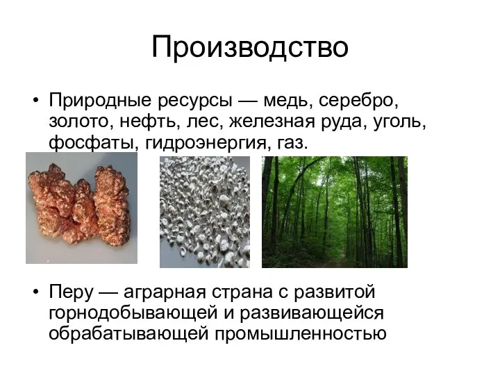 Производство Природные ресурсы — медь, серебро, золото, нефть, лес, железная руда, уголь,