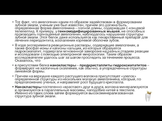 Тот факт, что амелогенин каким-то образом задействован в формировании зубной эмали, ученым