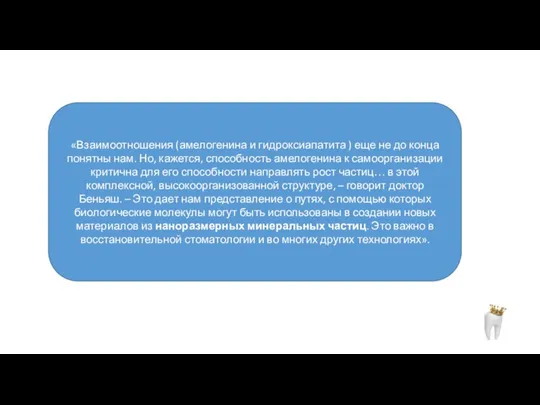 «Взаимоотношения (амелогенина и гидроксиапатита ) еще не до конца понятны нам. Но,