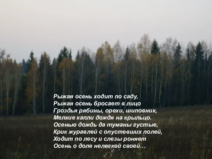 Рыжая осень ходит по саду, Рыжая осень бросает в лицо Гроздья рябины,