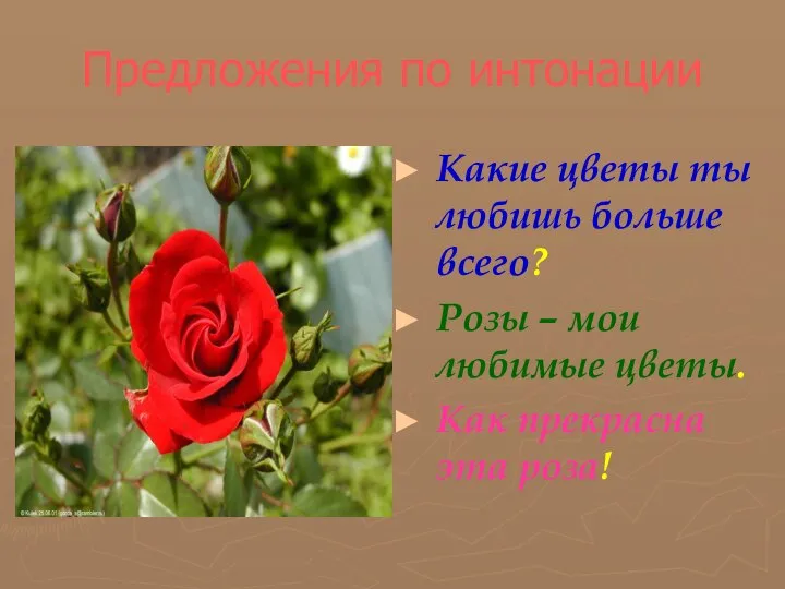 Предложения по интонации Какие цветы ты любишь больше всего? Розы – мои
