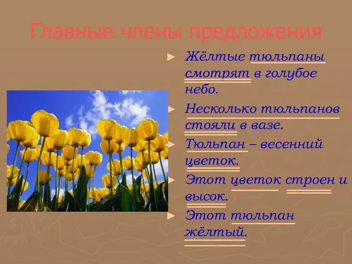 Главные члены предложения Жёлтые тюльпаны смотрят в голубое небо. Несколько тюльпанов стояли