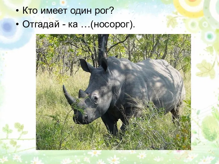 Кто имеет один рог? Отгадай - ка …(носорог).