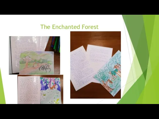 The Enchanted Forest