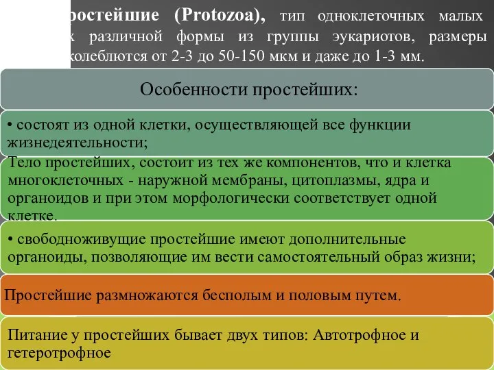 Простейшие (Protozoa), тип одноклеточных малых животных различной формы из группы эукариотов, размеры