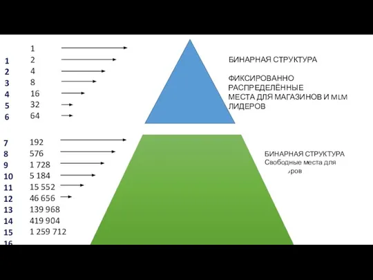 БИНАРНАЯ СТРУКТУРА ФИКСИРОВАННО РАСПРЕДЕЛЁННЫЕ МЕСТА ДЛЯ МАГАЗИНОВ И MLM ЛИДЕРОВ БИНАРНАЯ СТРУКТУРА