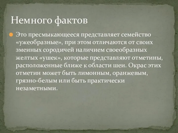 Это пресмыкающееся представляет семейство «ужеобразные», при этом отличаются от своих змеиных сородичей