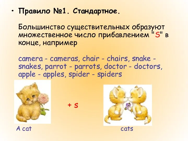 Правило №1. Стандартное. Большинство существительных образуют множественное число прибавлением "S" в конце,