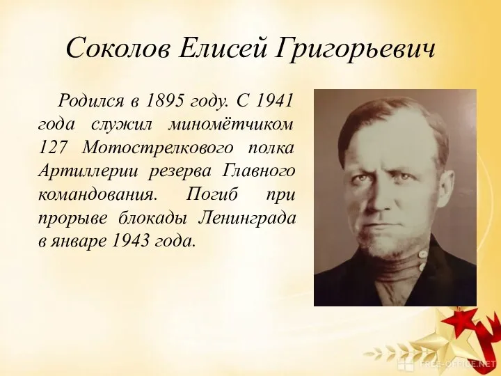 Соколов Елисей Григорьевич Родился в 1895 году. С 1941 года служил миномётчиком