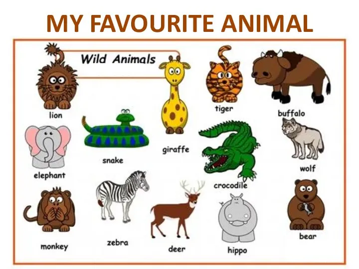 MY FAVOURITE ANIMAL IS…