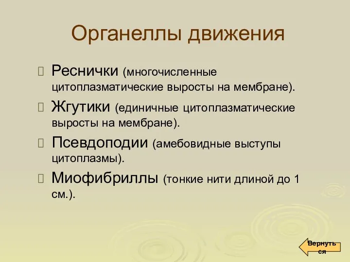 Органеллы движения Реснички (многочисленные цитоплазматические выросты на мембране). Жгутики (единичные цитоплазматические выросты