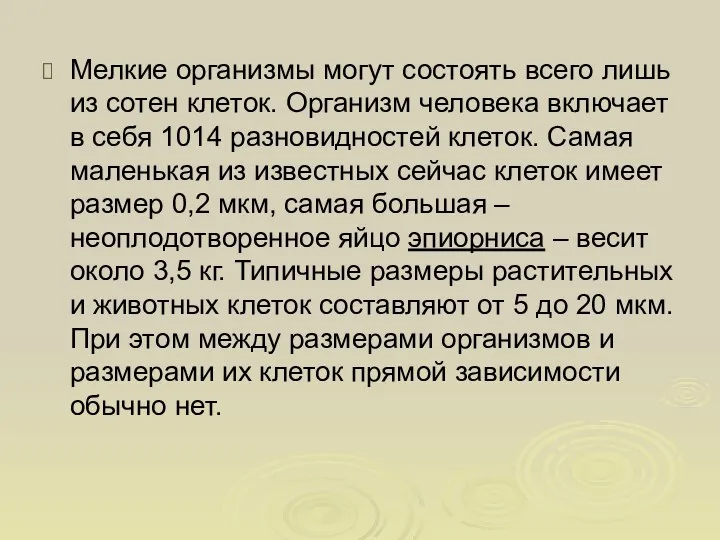 Мелкие организмы могут состоять всего лишь из сотен клеток. Организм человека включает