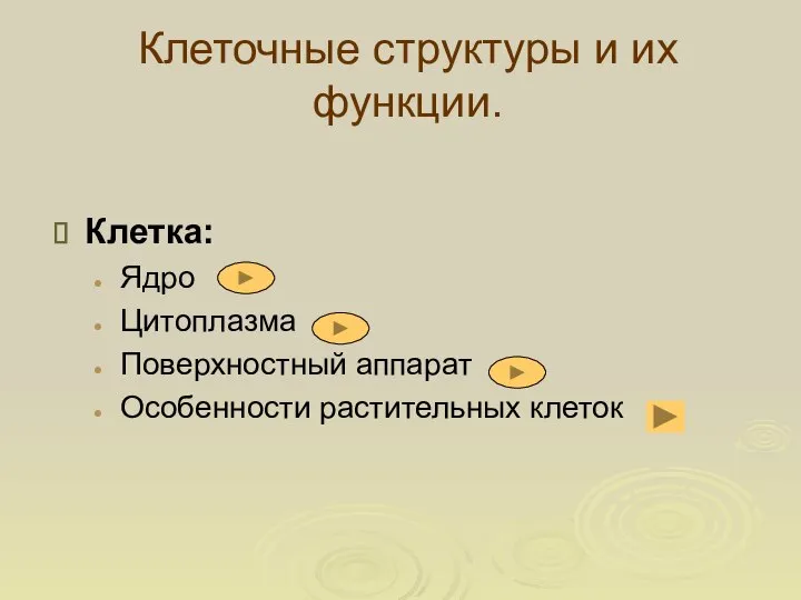 Клеточные структуры и их функции. Клетка: Ядро Цитоплазма Поверхностный аппарат Особенности растительных клеток