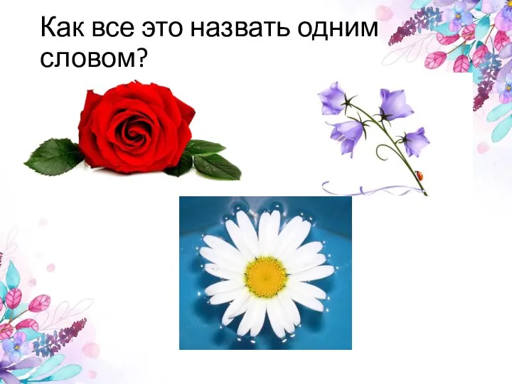 Как все это назвать одним словом?