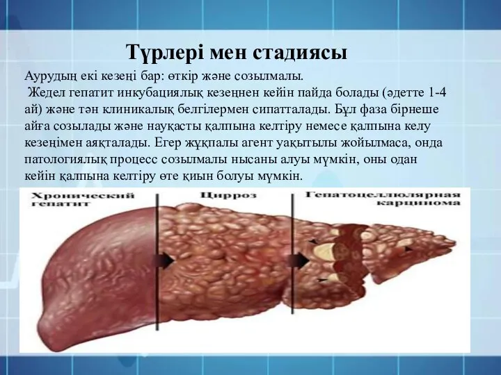 Аурудың екі кезеңі бар: өткір және созылмалы. Жедел гепатит инкубациялық кезеңнен кейін