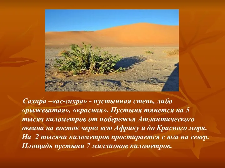 Сахара –«ас-сахра» - пустынная степь, либо «рыжеватая», «красная». Пустыня тянется на 5