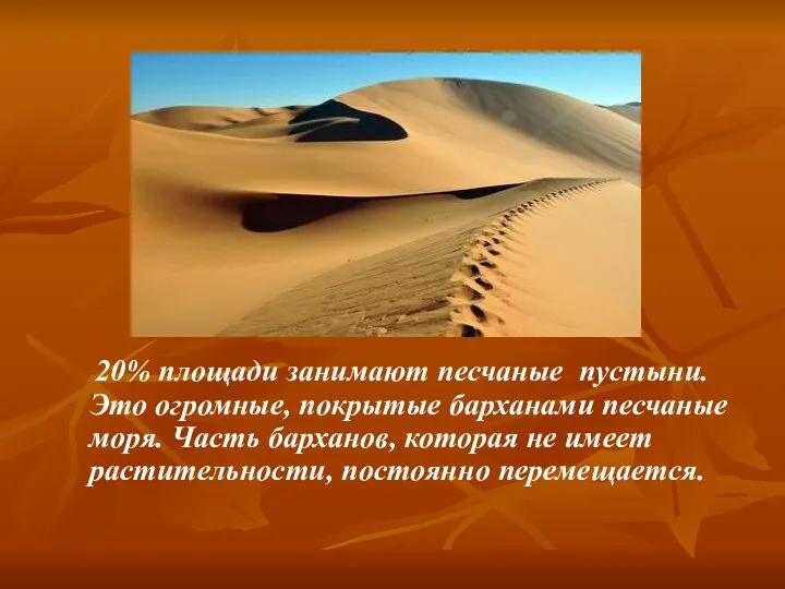20% площади занимают песчаные пустыни. Это огромные, покрытые барханами песчаные моря. Часть