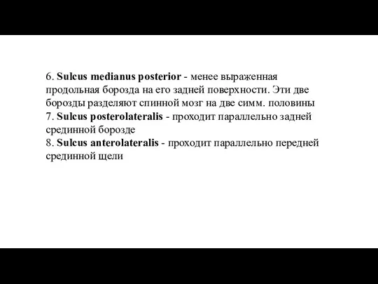 6. Sulcus medianus posterior - менее выраженная продольная борозда на его задней