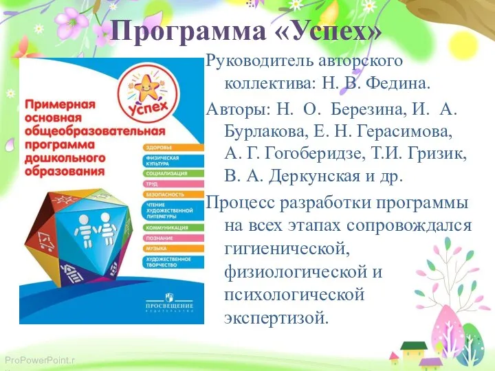 Программа «Успех» Руководитель авторского коллектива: Н. В. Федина. Авторы: Н. О. Березина,