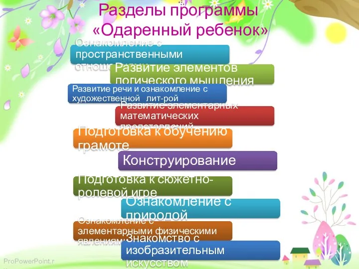 Разделы программы «Одаренный ребенок» Ознакомление с пространственными отношениями Развитие элементов логического мышления