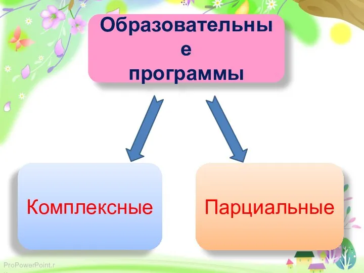 Образовательные программы Комплексные Парциальные