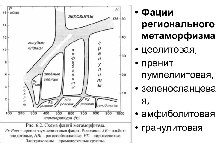 Фации регионального метаморфизма цеолитовая, пренит-пумпелиитовая, зеленосланцевая, амфиболитовая гранулитовая