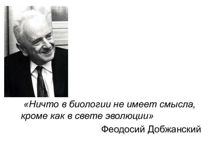 «Ничто в биологии не имеет смысла, кроме как в свете эволюции» Феодосий Добжанский