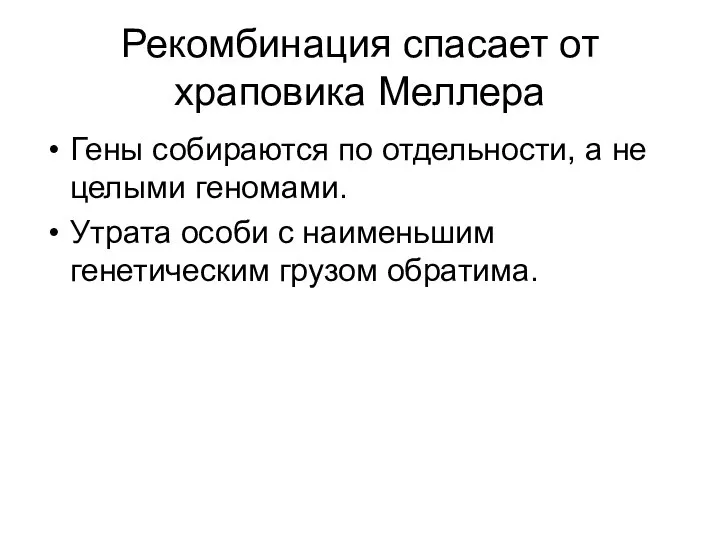 Рекомбинация спасает от храповика Меллера Гены собираются по отдельности, а не целыми