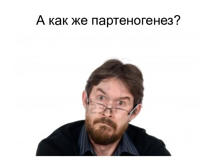 А как же партеногенез?