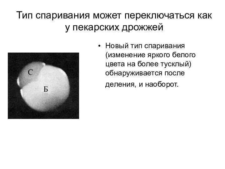 Тип спаривания может переключаться как у пекарских дрожжей Новый тип спаривания (изменение