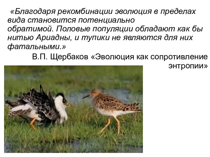 «Благодаря рекомбинации эволюция в пределах вида становится потенциально обратимой. Половые популяции обладают