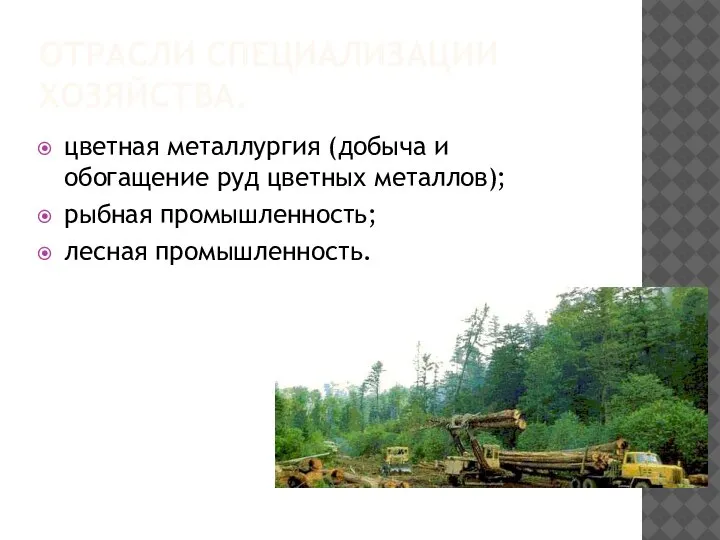 ОТРАСЛИ СПЕЦИАЛИЗАЦИИ ХОЗЯЙСТВА. цветная металлургия (добыча и обогащение руд цветных металлов); рыбная промышленность; лесная промышленность.