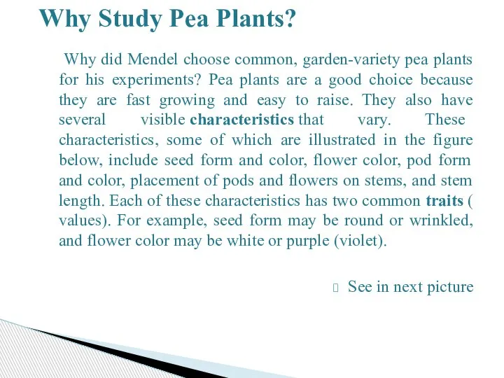 Why did Mendel choose common, garden-variety pea plants for his experiments? Pea