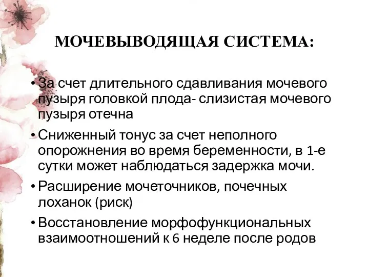 МОЧЕВЫВОДЯЩАЯ СИСТЕМА: За счет длительного сдавливания мочевого пузыря головкой плода- слизистая мочевого