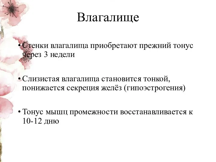 Влагалище Стенки влагалища приобретают прежний тонус через 3 недели Слизистая влагалища становится