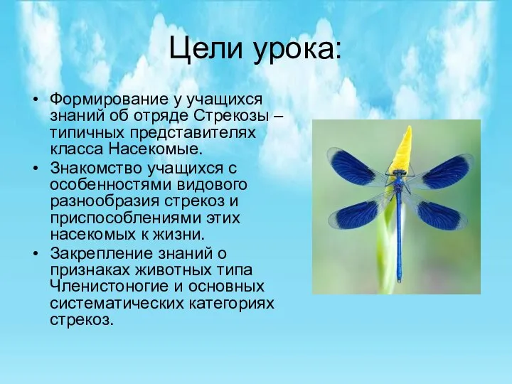 Цели урока: Формирование у учащихся знаний об отряде Стрекозы – типичных представителях