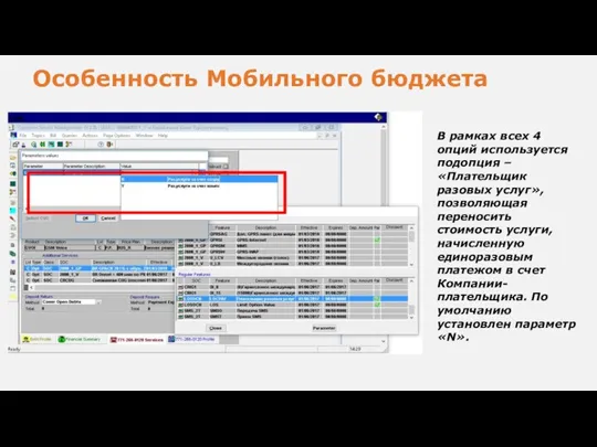 Особенность Мобильного бюджета В рамках всех 4 опций используется подопция – «Плательщик