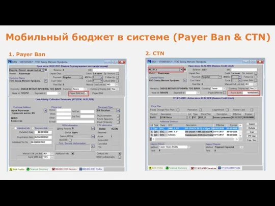 2. Мобильный бюджет в системе (Payer Ban & CTN) 1. Payer Ban 2. CTN