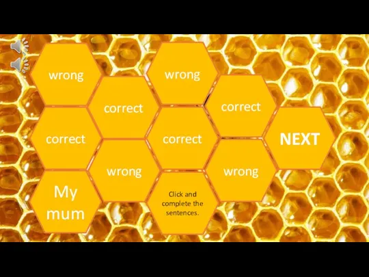 Click and complete the sentences. My mum correct correct wrong wrong wrong correct correct wrong NEXT