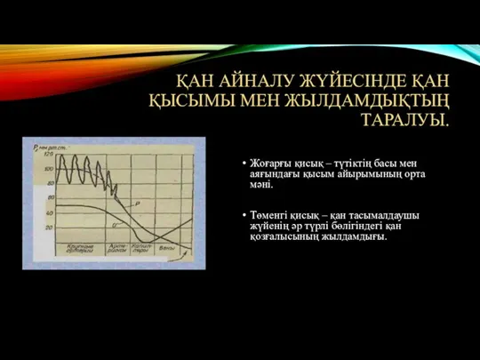 ҚАН АЙНАЛУ ЖҮЙЕСІНДЕ ҚАН ҚЫСЫМЫ МЕН ЖЫЛДАМДЫҚТЫҢ ТАРАЛУЫ. Жоғарғы қисық – түтіктің