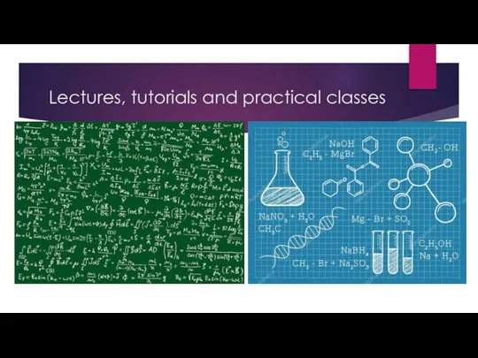 Lectures, tutorials and practical classes