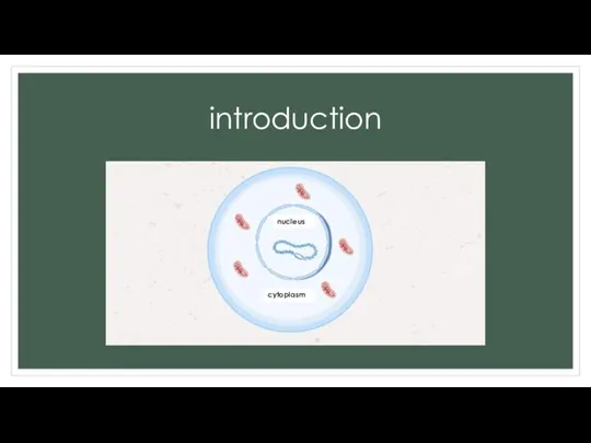 introduction nucleus cytoplasm