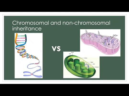 Chromosomal and non-chromosomal inheritance vs