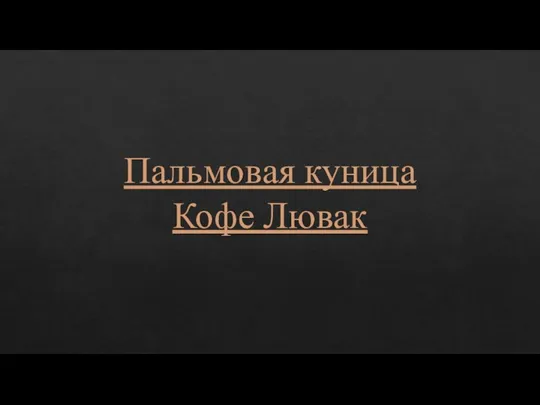 Пальмовая куница Кофе Лювак