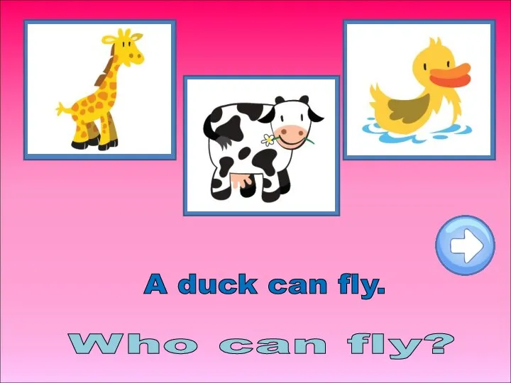 Who can fly? A duck can fly.