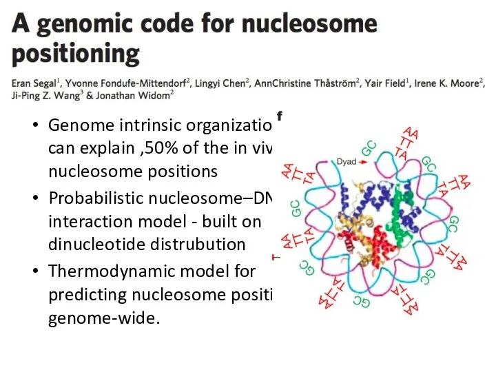 Genome intrinsic organization can explain ,50% of the in vivo nucleosome positions