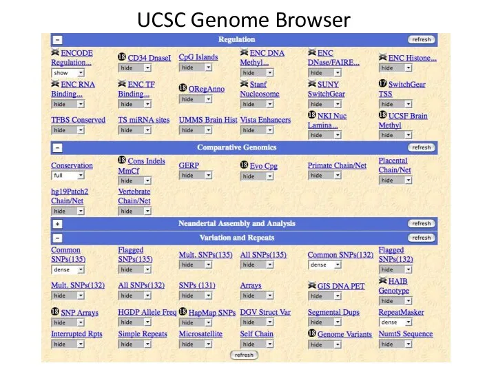 UCSC Genome Browser